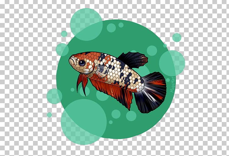 Koi Fish PNG, Clipart, Fish, Gdragon, Koi, Organism, Others Free PNG Download