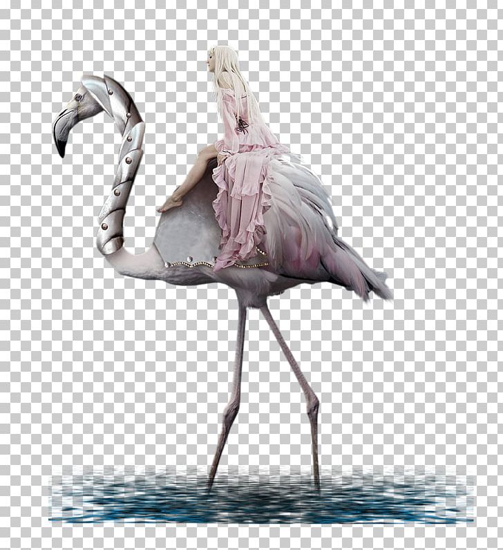 Bird Crane Figurine Beak Neck PNG, Clipart, Animals, Beak, Bird, Crane, Crane Like Bird Free PNG Download