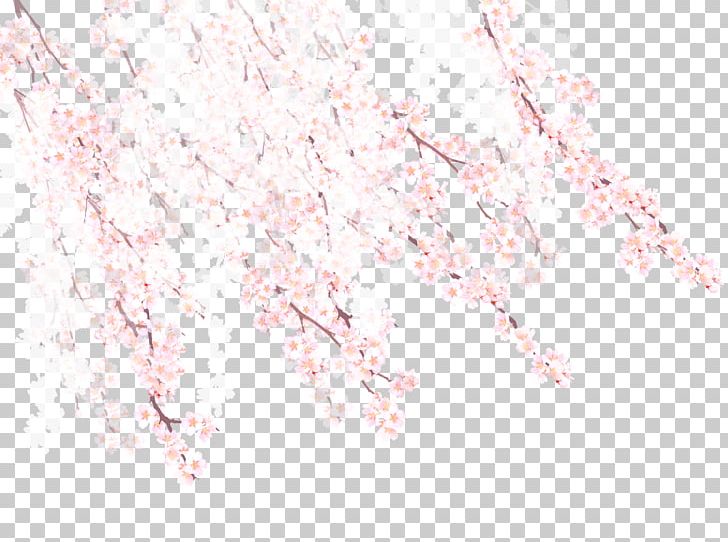 Cherry Blossom Spring Petal Pattern PNG, Clipart, Blossom, Blossoms, Bouquet, Cherry, Cherry Blossom Free PNG Download
