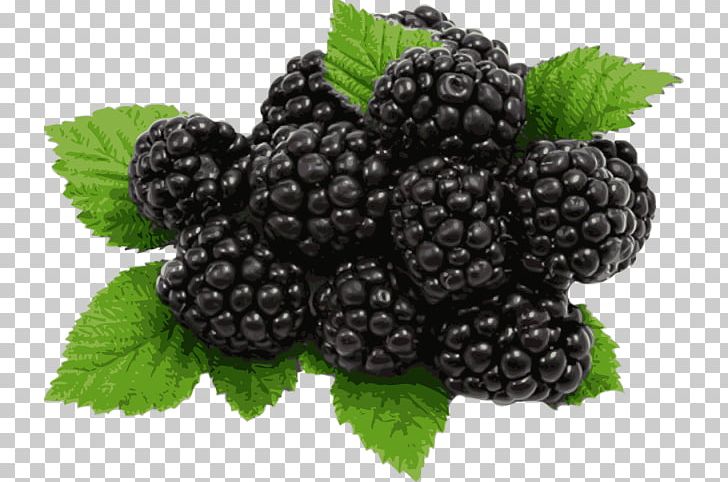 Juice Blackberry Pie Organic Food Fruit PNG, Clipart, Aggregate Fruit, Berry, Bilberry, Blueberry, Food Free PNG Download