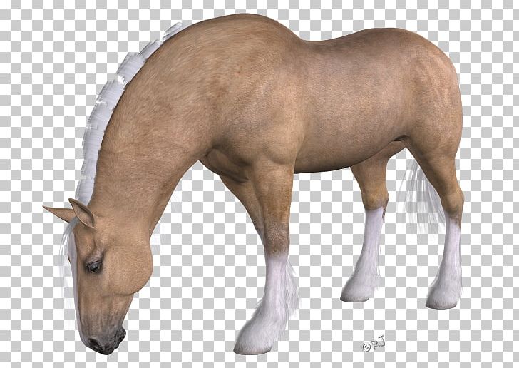Mane Mustang Foal Mare Stallion PNG, Clipart, Actual, Animal, Animal Figure, Belgian, Draft Free PNG Download
