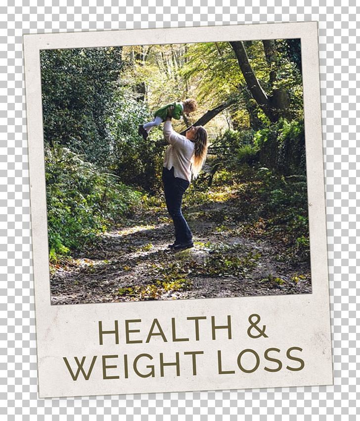 Weight Loss Health YouTube Blog PNG, Clipart, Archie, Blog, Disclosure, Grass, Health Free PNG Download