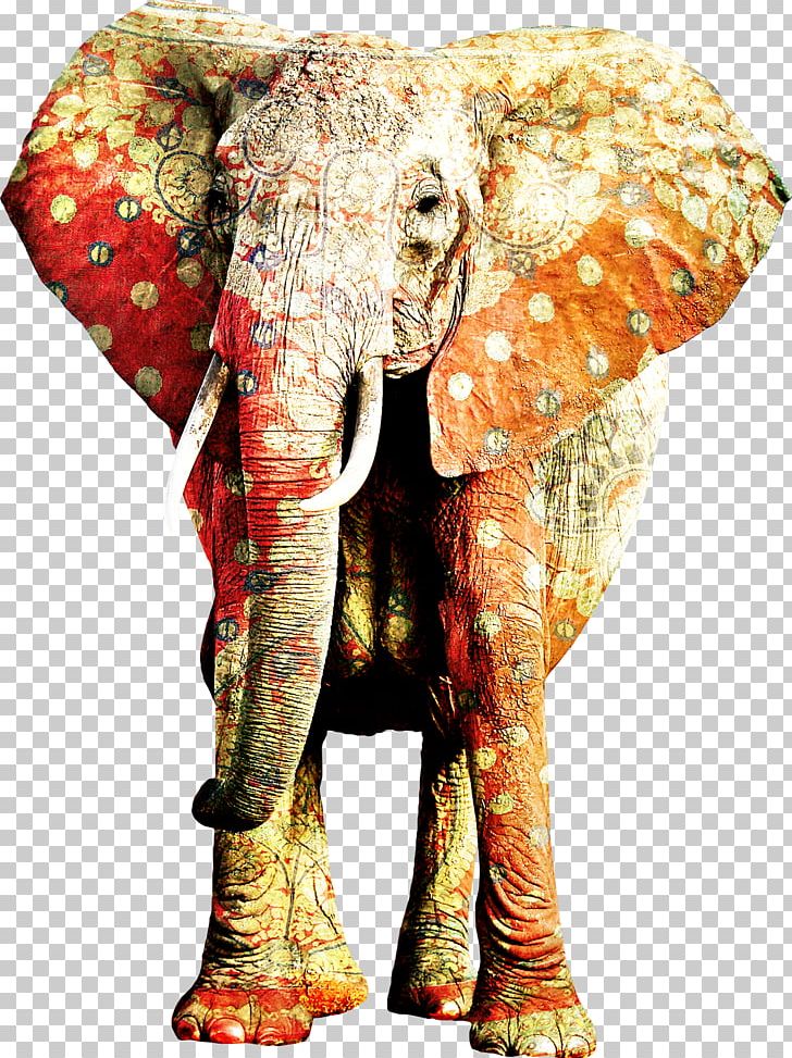 African Elephant Animal Rhinoceros Indian Elephant PNG, Clipart, 2016, African Elephant, Animal, Animals, Elephant Free PNG Download
