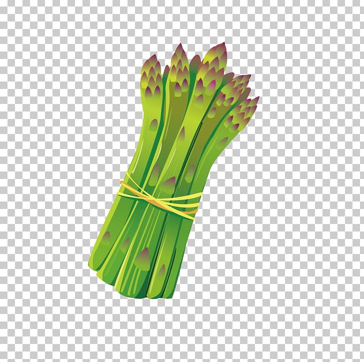 Bamboo Shoot PNG, Clipart, Bamboo, Bamboo Border, Bamboo Leaves, Bamboo Shoot, Bamboo Tree Free PNG Download