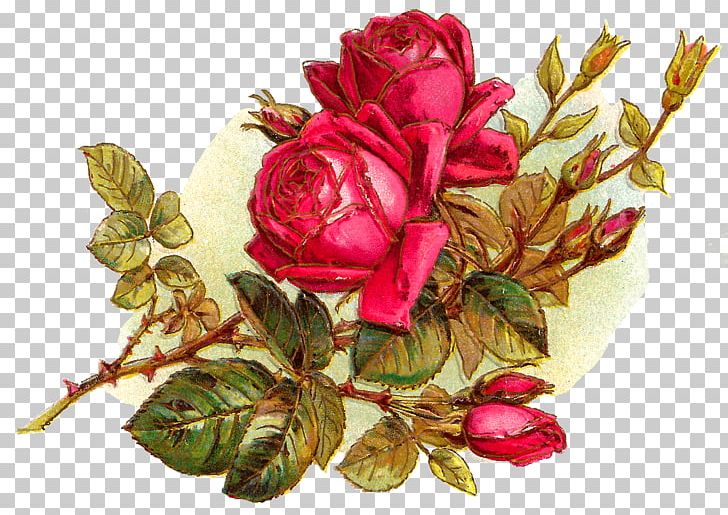 Flower Bouquet Garden Roses Cut Flowers PNG, Clipart, Artificial Flower, Centifolia Roses, Cut Flowers, Desktop Wallpaper, Digital Image Free PNG Download