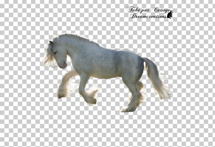 Mane Mustang Stallion Pony Mare PNG, Clipart, Animal Figure, Figurine, Gipsy, Grass, Horse Free PNG Download