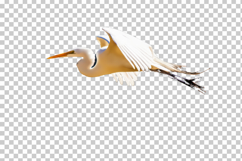 Feather PNG, Clipart, Beak, Bird, Egret, Feather, Great Egret Free PNG Download