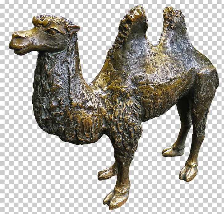 Bronze Sculpture Dromedary Statue PNG, Clipart, Animals, Arabian Camel, Bronze, Bronze Sculpture, Camel Free PNG Download