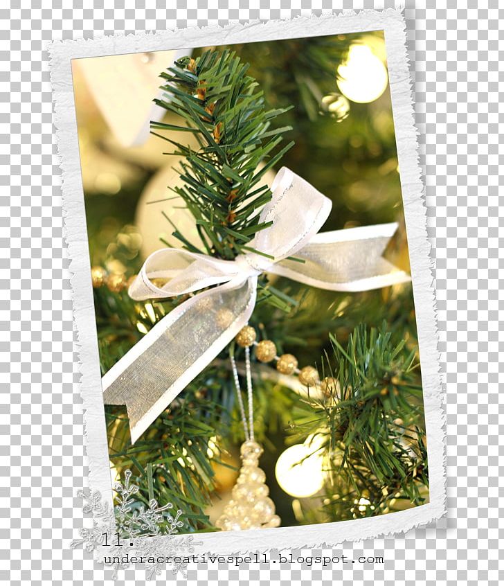 Christmas Ornament PNG, Clipart, Christmas, Christmas Decoration, Christmas Ornament, Conifer, Decor Free PNG Download