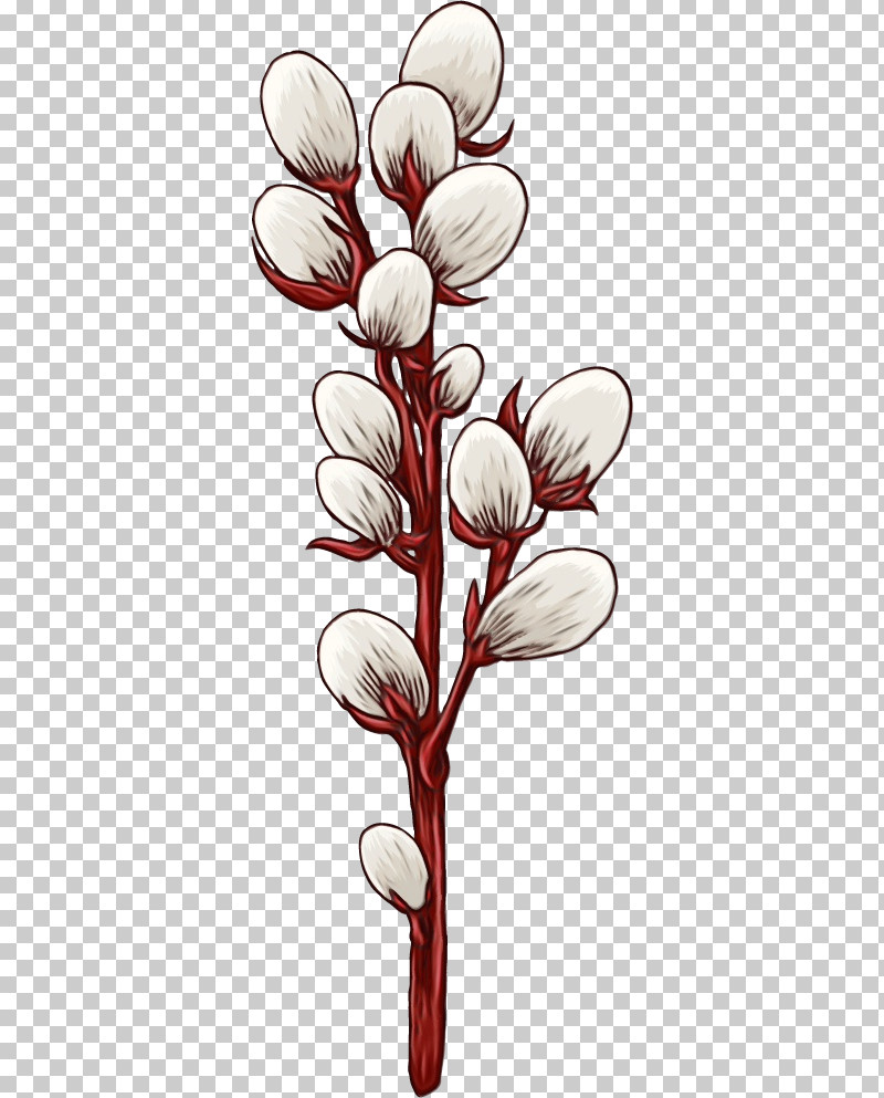 Flower Plant Pedicel Petal Plant Stem PNG, Clipart, Crocus, Cut Flowers, Drawing Flower, Floral Drawing, Flower Free PNG Download