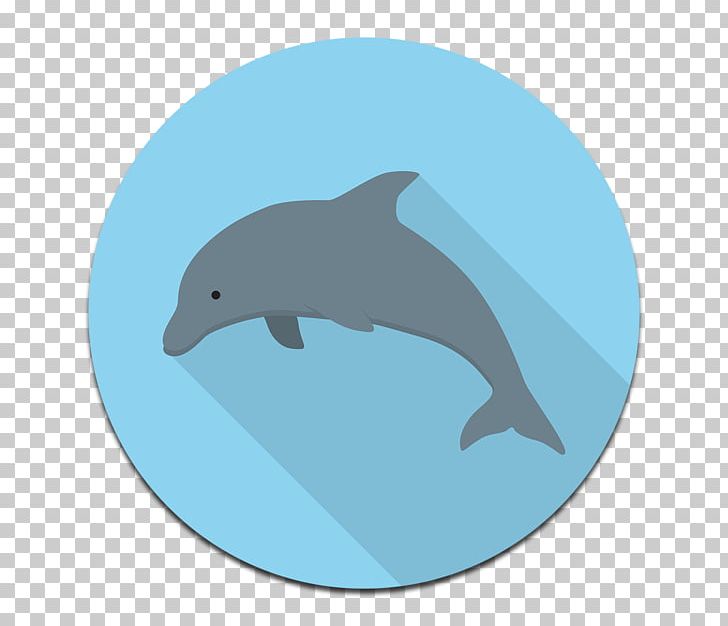 Common Bottlenose Dolphin Tucuxi Wholphin Wild Boar Porpoise PNG, Clipart, Animal, Common Bottlenose Dolphin, Computer Icons, Dolphin, Fauna Free PNG Download