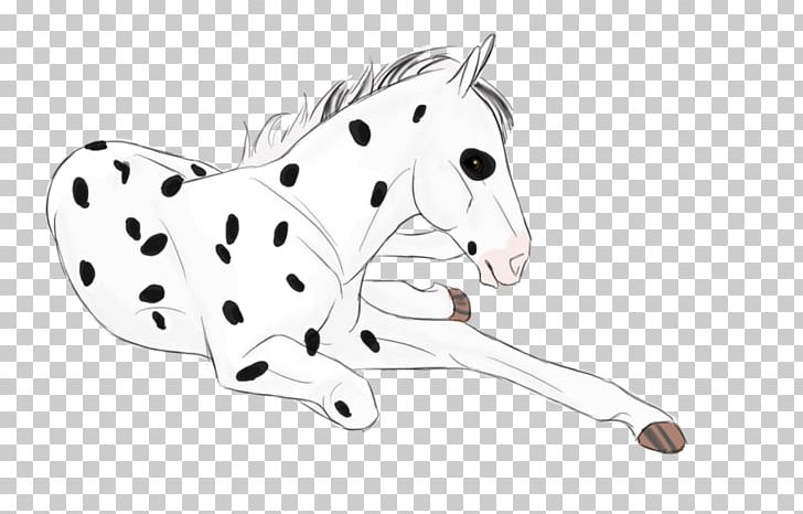 Dalmatian Dog Cat Horse Non-sporting Group Paw PNG, Clipart, Animal, Animal Figure, Big Cat, Big Cats, Black Free PNG Download