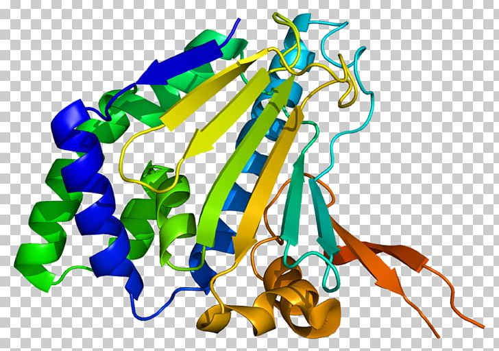 HSP90B1 Heat Shock Protein KDEL Chaperone PNG, Clipart, B 1, Chaperone, Endoplasmic Reticulum, Exosome, Groes Free PNG Download