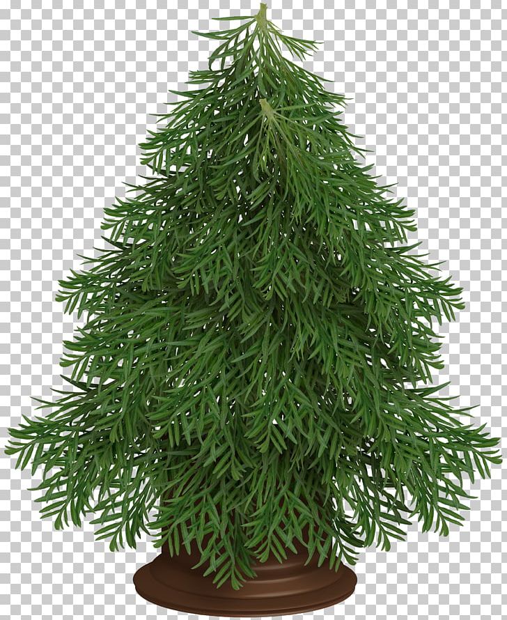 Christmas Tree PNG, Clipart, Branch, Christmas Decoration, Christmas Frame, Christmas Lights, Cypress Family Free PNG Download