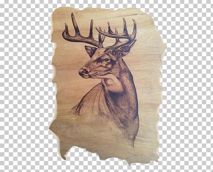 Elk Reindeer Drawing Pyrography Antler PNG, Clipart, Antler, Art, Cartoon, Deer, Drawing Free PNG Download