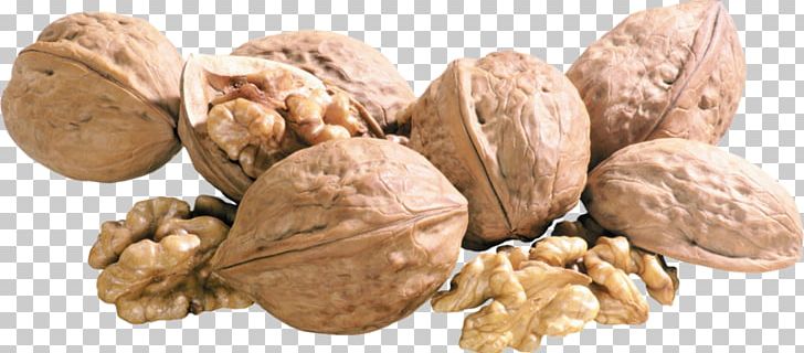 English Walnut PNG, Clipart, Auglis, Commodity, Download, Dried Fruit, Encapsulated Postscript Free PNG Download