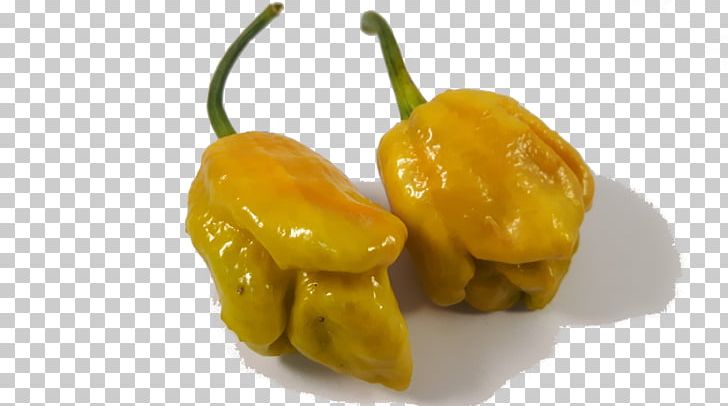 Habanero Chili Pepper Yellow Pepper Bell Pepper Paprika PNG, Clipart, Bell Pepper, Bell Peppers And Chili Peppers, Bhut Jolokia, Capsicum, Capsicum Annuum Free PNG Download