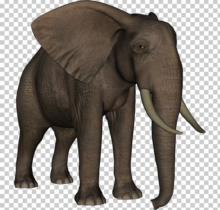 Indian Elephant African Elephant Elephantidae PNG, Clipart, African Elephant, Animal, Asian, Elephant, Elephantidae Free PNG Download