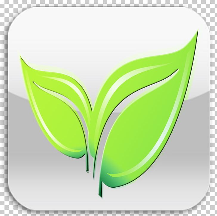 Leaf Font PNG, Clipart, Grass, Green, Green Leaf Icon, Leaf, Moths And Butterflies Free PNG Download