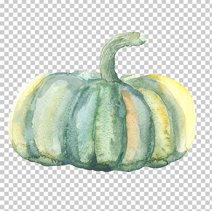 Pumpkin Watercolor Painting Gourd PNG, Clipart, Cartoon, Cucumber Gourd And Melon Family, Cucurbita, Encapsulated Postscript, Food Free PNG Download