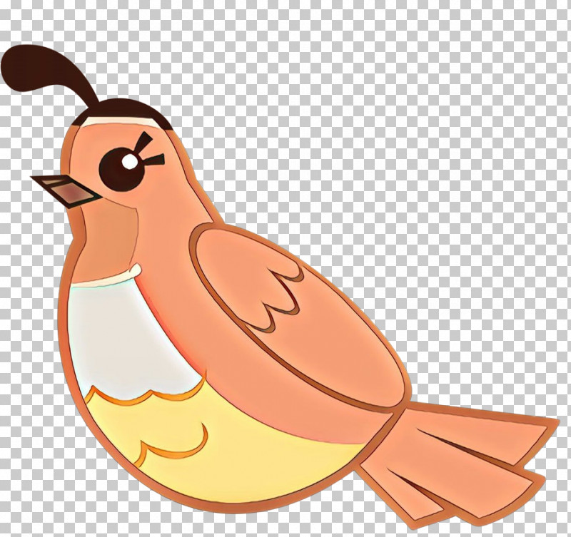 Bird Cartoon Beak PNG, Clipart, Beak, Bird, Cartoon Free PNG Download