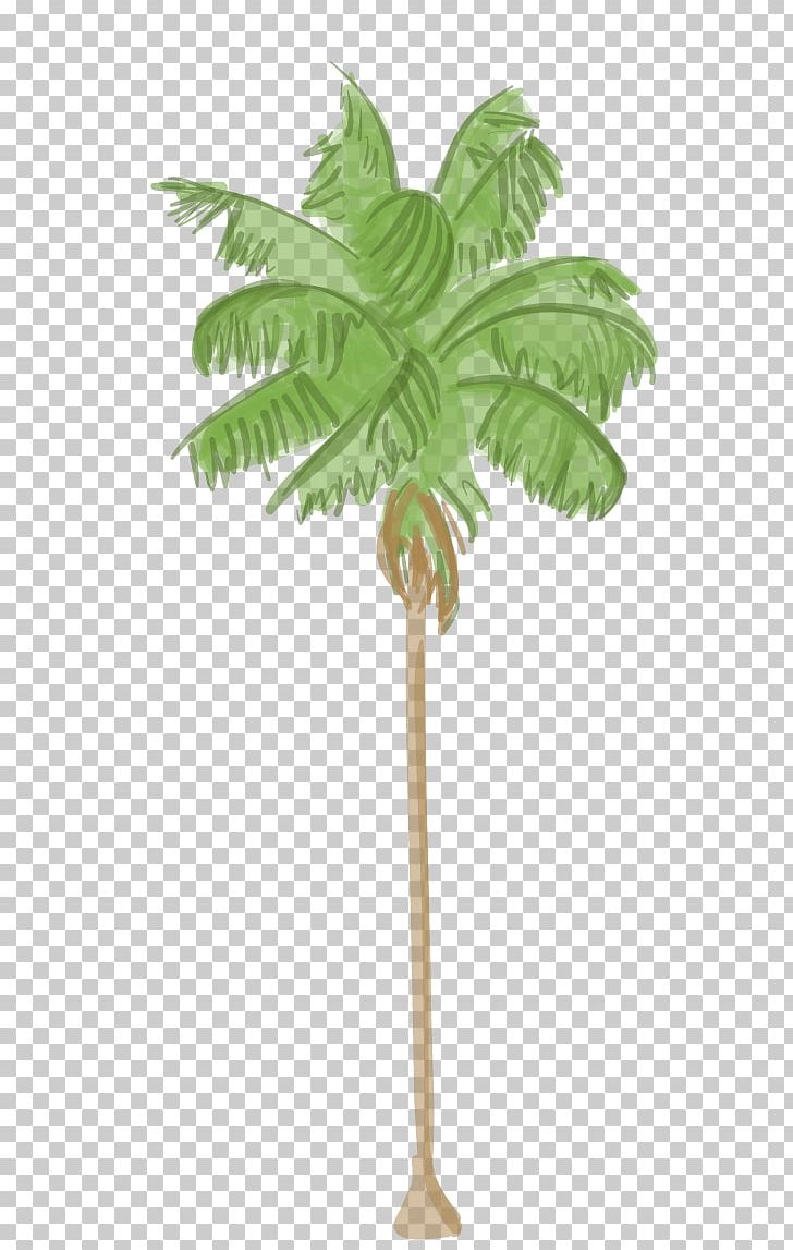 Arecaceae Tree Los Angeles Areca Palm PNG, Clipart, Arecaceae, Arecales, Areca Palm, Coconut, Date Palm Free PNG Download