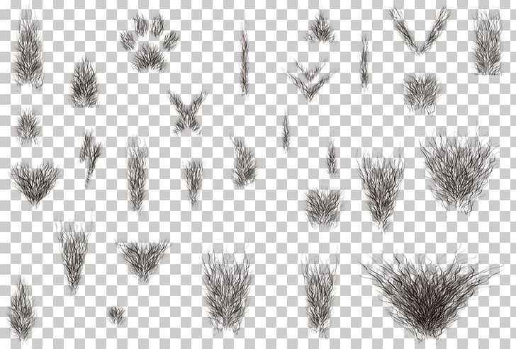 Grasses Line Art Nose Angle Font PNG, Clipart, Angle, Black And White, Branch, Drawing, Family Free PNG Download