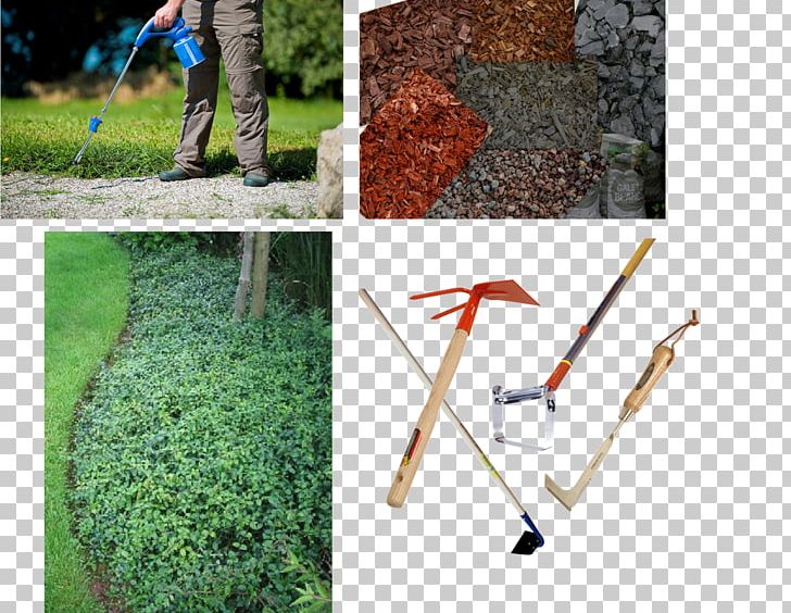 Lawn Weed Control Garden Abflammen Soil PNG, Clipart, Abflammen, Campingaz, Curriculum Vitae, Garden, Grass Free PNG Download