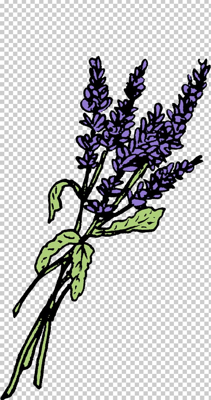 Lavender Graphics Leaf Twig Plant Stem PNG, Clipart, Branch, Colour, Flora, Flower, Flower Drawing Free PNG Download