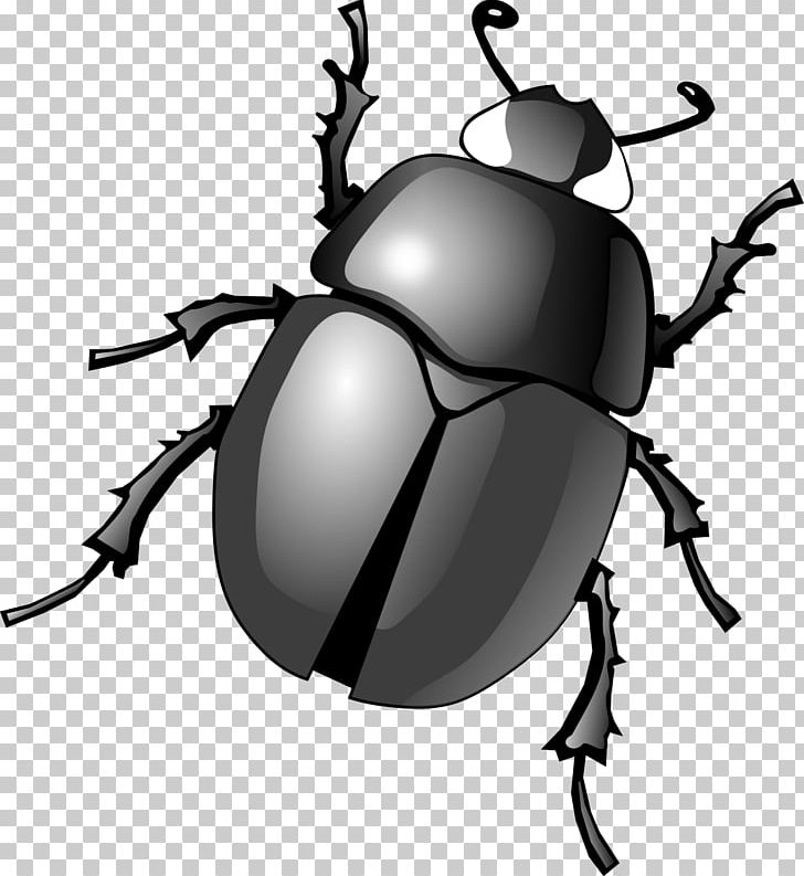 Dung Beetle PNG, Clipart, Animals, Arthropod, Artwork, Beetle, Black And White Free PNG Download