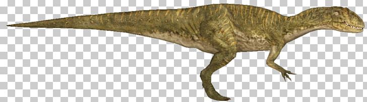 Velociraptor Animal Tyrannosaurus PNG, Clipart, Animal, Animal Figure, Beak, Dinosaur, Keywords Free PNG Download
