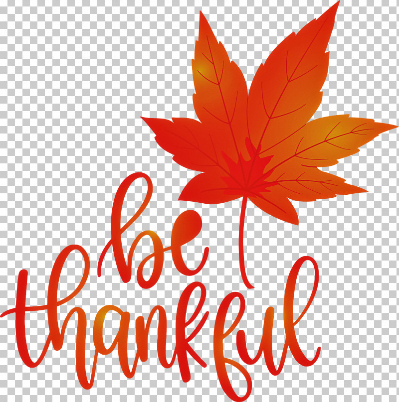 Thanksgiving Be Thankful Give Thanks PNG, Clipart, Acer Nigrum, Autumn, Autumn Leaf Color, Be Thankful, Branch Free PNG Download