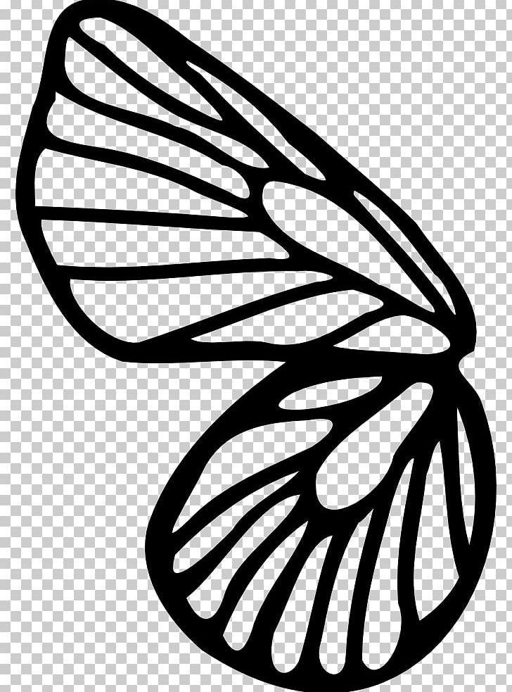 Butterfly Drawing Coloring Book Line Art PNG, Clipart, Aile, Artwork, Beija Flor, Black And White, Brush Free PNG Download