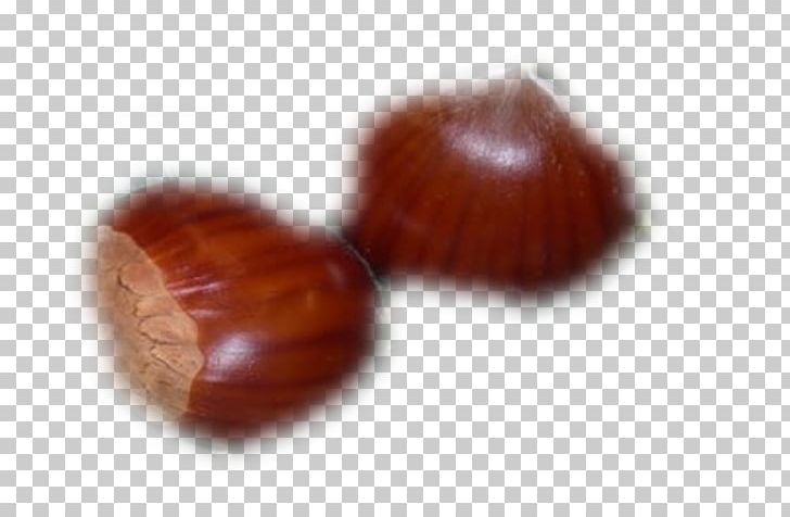 Chestnut PNG, Clipart, Chestnut, Ingredient, Praline Free PNG Download