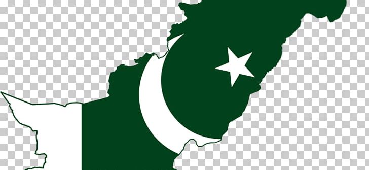 Flag Of Pakistan Map Pakistanis PNG, Clipart, Electricity, Flag, Flag Of Pakistan, Grass, Green Free PNG Download