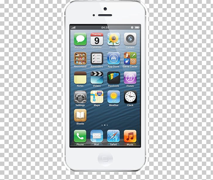 IPhone 5s IPhone 4S IPhone 6 PNG, Clipart, Apple, Apple Iphone, Electronic Device, Electronics, Fruit Nut Free PNG Download