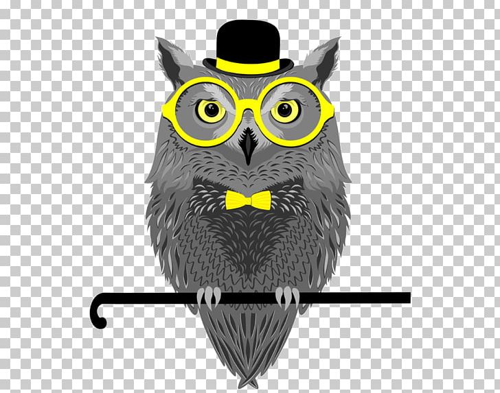 Owl Stock Photography PNG, Clipart, Animals, Beak, Bird, Bird Of Prey, Drawing Free PNG Download