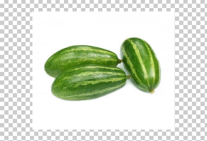 Pointed Gourd Vegetable Calabash Stock Photography PNG, Clipart, Bitter Melon, Calabash, Cucumber, Cucumber Gourd And Melon Family, Cucumis Free PNG Download