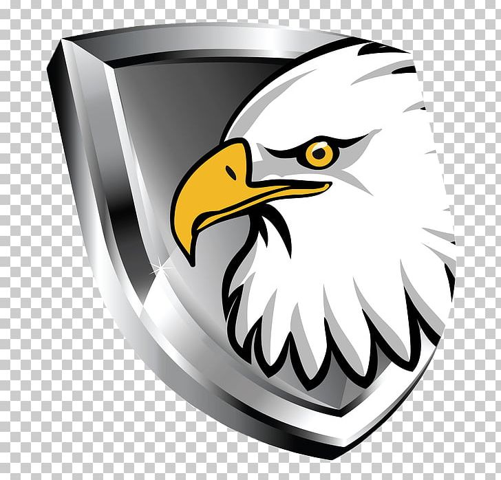 Cruz Azul Bald Eagle Drawing PNG, Clipart, Bald Eagle, Beak, Bird, Bird Of Prey, Club Universidad Nacional Free PNG Download