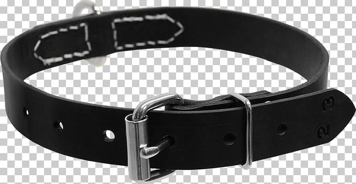 Dog Collar D-ring Leash PNG, Clipart, Activedogscom, Belt, Belt Buckle, Belt Buckles, Black Free PNG Download