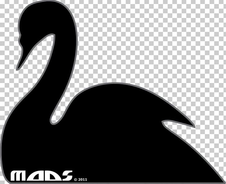 Goose Duck Black Swan Water Bird PNG, Clipart, Anatidae, Animals, Beak, Bird, Black And White Free PNG Download