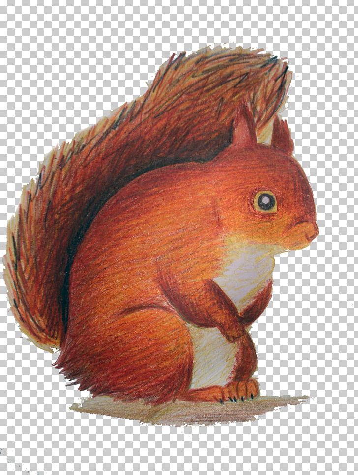 Red Squirrel Rodent PNG, Clipart, Animal, Animals, Copyright, Desktop Wallpaper, Drawing Free PNG Download