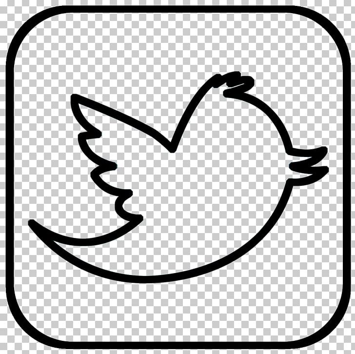 Social Media YouTube Computer Icons Cycling Drawing PNG, Clipart, Beak, Bicycle, Bird, Bird Icon, Bird Logo Free PNG Download