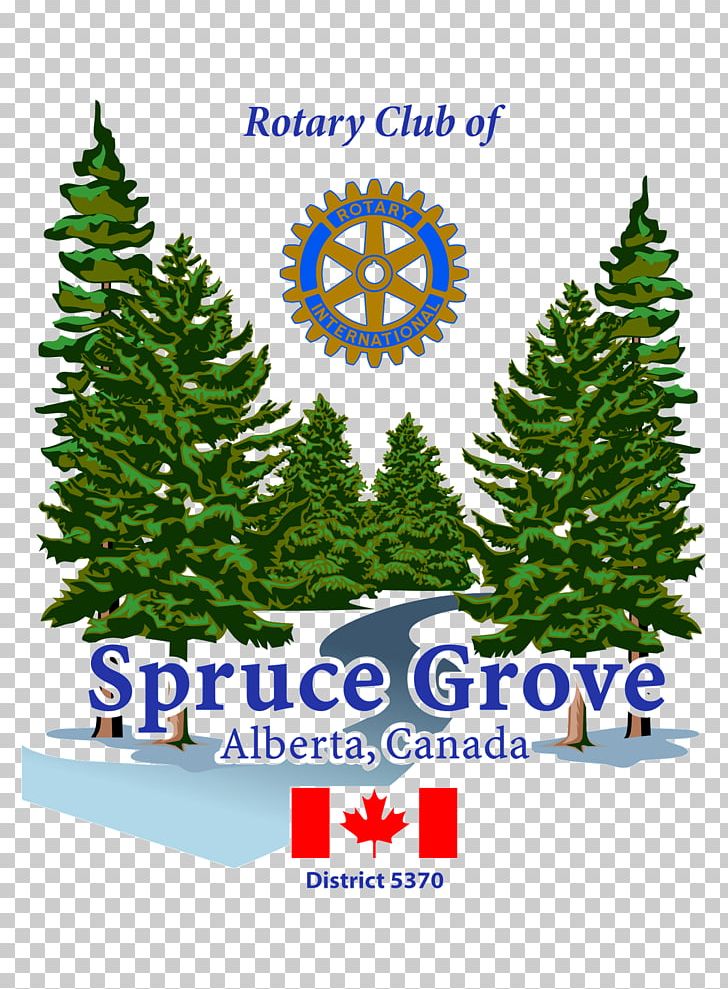 Christmas Tree Parkland Food Bank Society Sponsor Spruce PNG, Clipart, Business, Christmas, Christmas Decoration, Christmas Ornament, Christmas Tree Free PNG Download