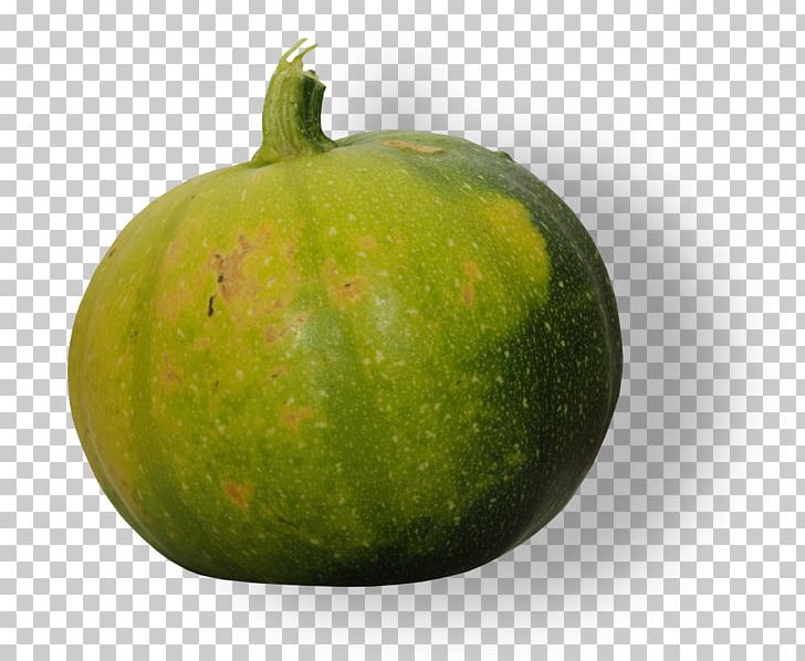 Melon Cucurbita Food Gourd PNG, Clipart, Apple, Apple Fruit, Cucumber, Cucumber Gourd And Melon Family, Cucurbita Free PNG Download