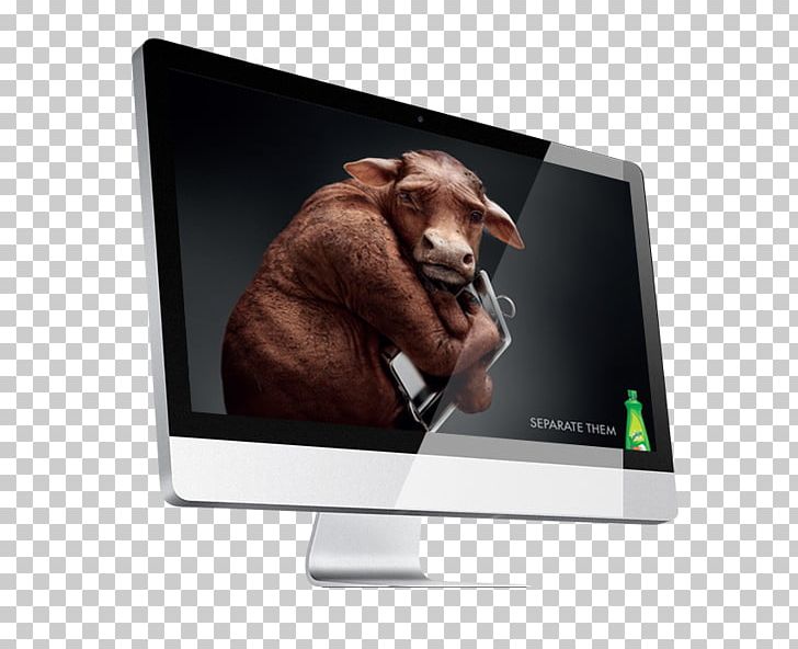 Multimedia Computer Monitors Video Snout Display Device PNG, Clipart, Computer Monitor, Computer Monitors, Display Device, H5 Interface, Media Free PNG Download