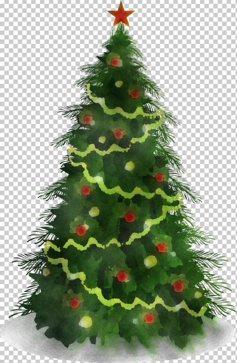 Christmas Tree PNG, Clipart, American Larch, Balsam Fir, Biome, Branch, Canadian Fir Free PNG Download