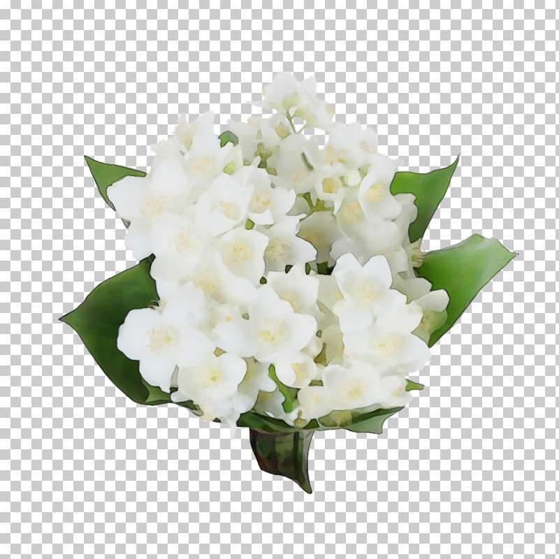 Floral Design PNG, Clipart, Cut Flowers, Floral Design, Flower, Flower Bouquet, French Hydrangea Free PNG Download