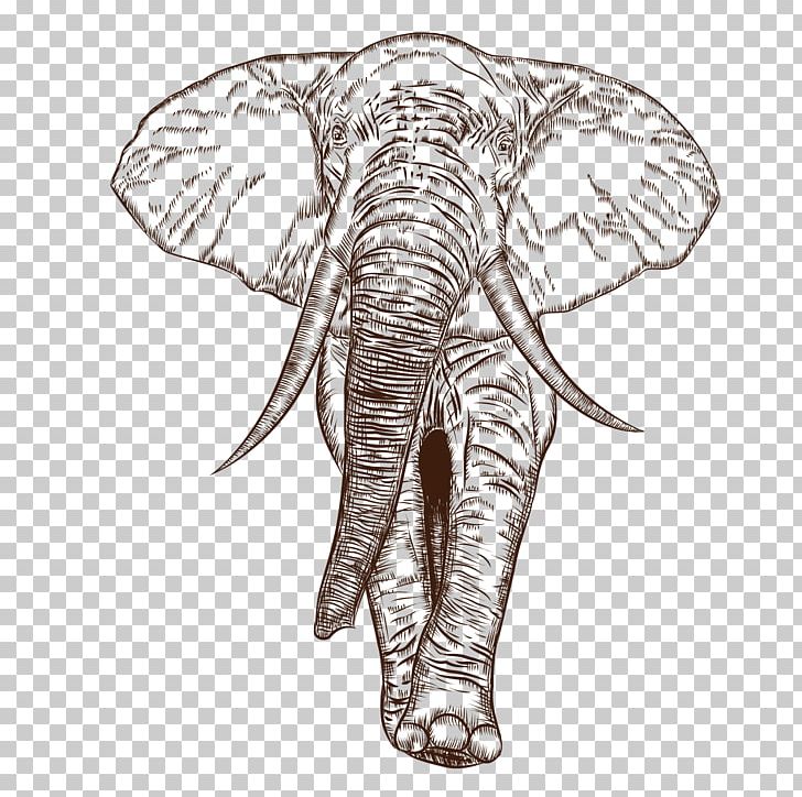 African Elephant Indian Elephant Drawing PNG, Clipart, African, African Animals, Animal, Animals, Baby Elephant Free PNG Download
