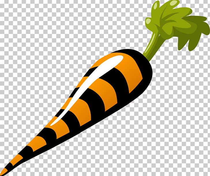 Carrot Vegetable PNG, Clipart, Arracacia Xanthorrhiza, Baby Carrot, Bunch Of Carrots, Carrot, Carrot Cartoon Free PNG Download